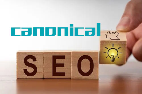 canonical标签的SEO用途 canonical是什么意思