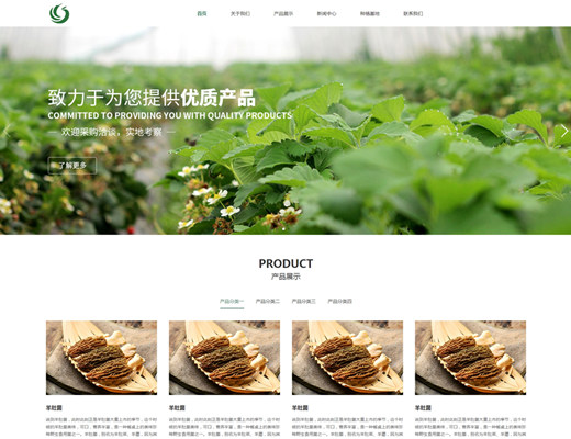 【181】响应式有机农业绿色农业科技类公司网站