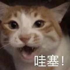 脱发 脱发